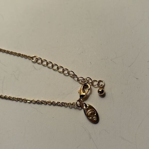 Charming Charlie Gold Tone Tear Drop Pendant Necklace 18-20” - Picture 4 of 4